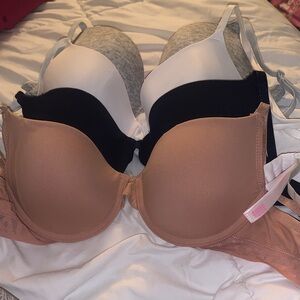 Pink & Nautica bra lot 36B